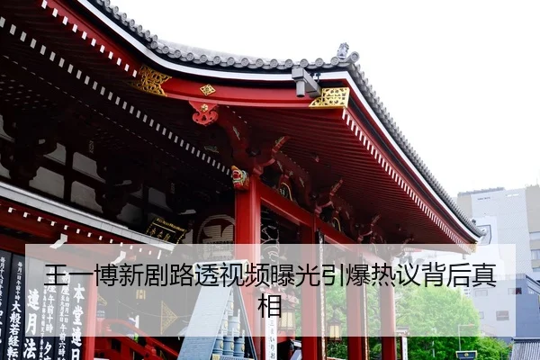 wang-yi-bo-xin-ju-lu-tou-shi-pin-bao-guang-yin-bao-re-yi-bei-hou-zhen-xiang-2-621.jpg