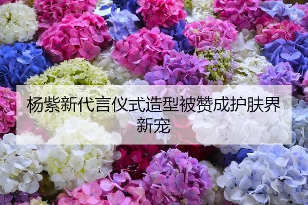 杨紫新代言仪式造型被赞成护肤界新宠
